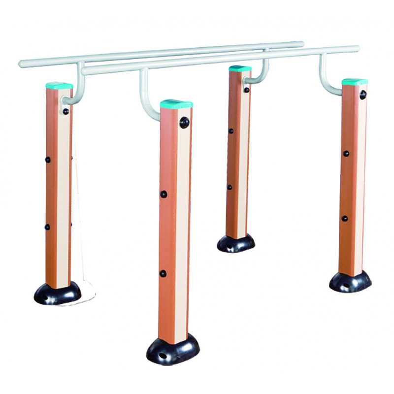 Παράλληλοι ράβδοι