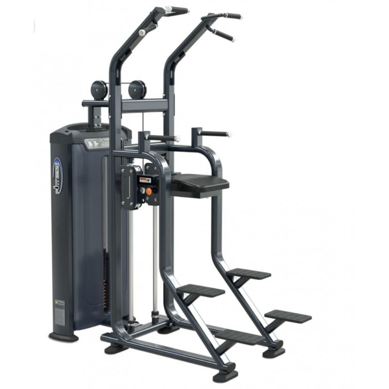 Luxury USA Assisted Chin Dip Combo