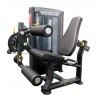 Luxury USA Leg Extension Leg Curl